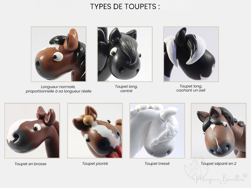 Types de toupets disponibles