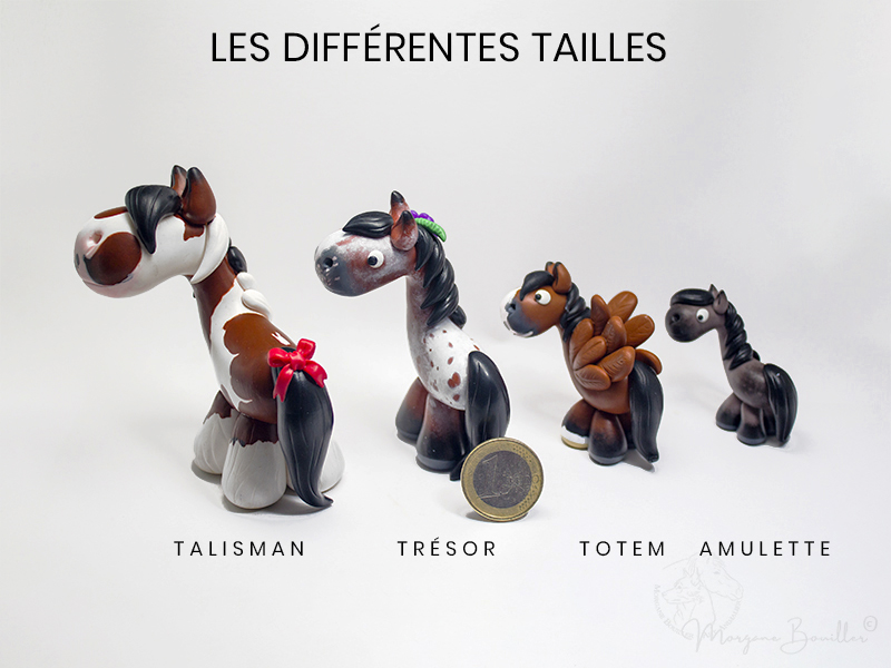 MYNIZ comparés à une pièce de un euro