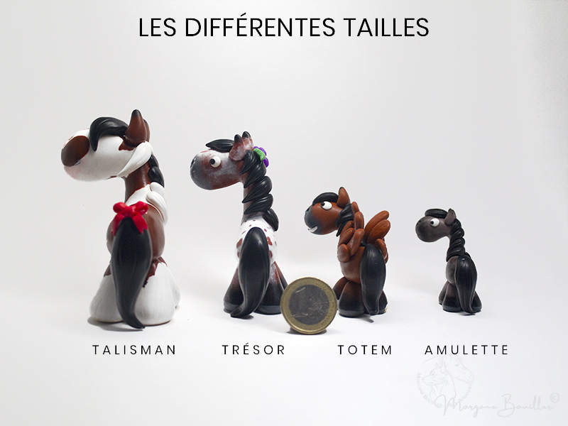 Les 4 formats de MYNIZ : Talisman, Trésor, Totem et Amulette, comparés à une pièce de 1€