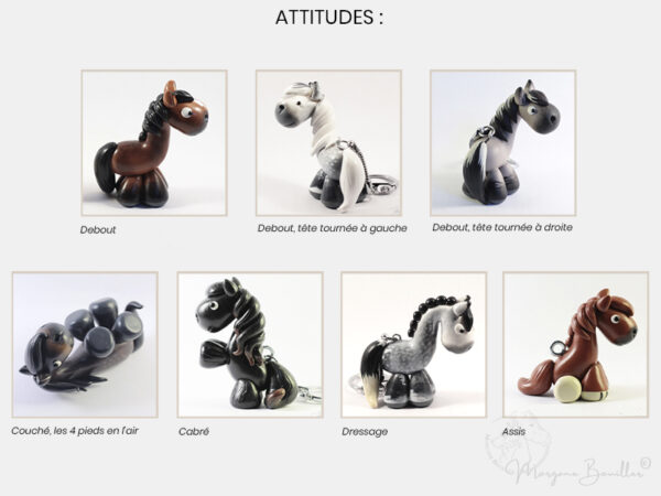 Choix de l'attitude MYNIZ