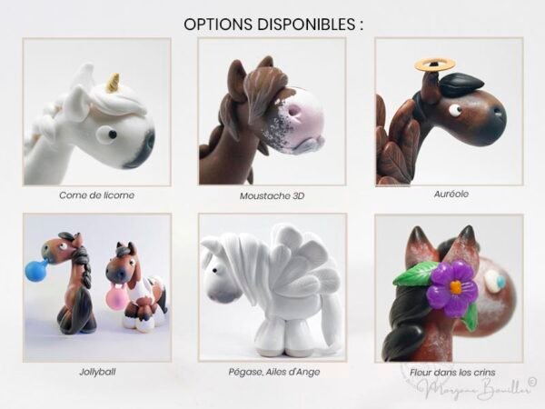 Options disponibles pour les formats Totem, Trésor et Talisman