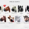 Types de toupets disponibles pour les MYNIZ