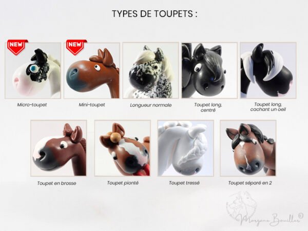 Types de toupets disponibles pour les MYNIZ